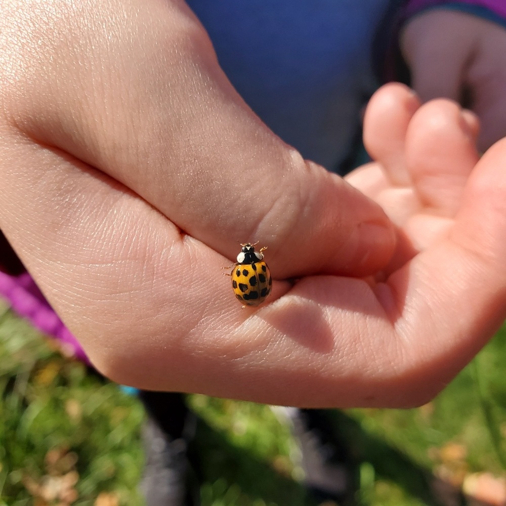 Meet your Posher, Heid